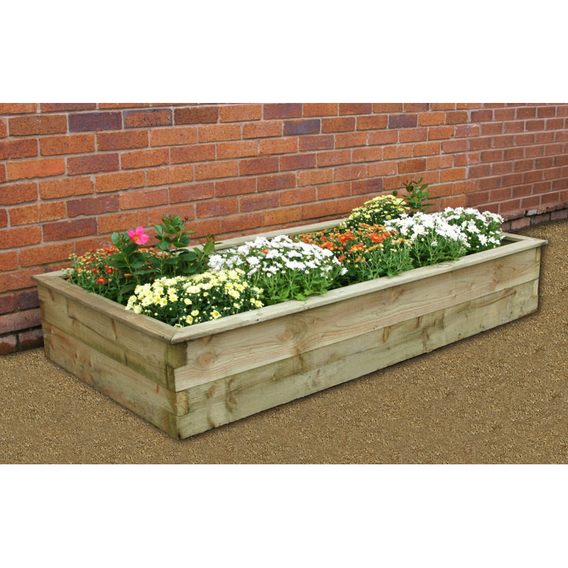 Freeport Park Kyler Wooden Raised Flower Bed & Reviews Wayfair.co.uk